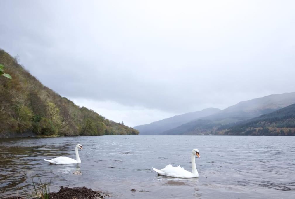 Rossmay House - 4 Bedroom Scottish Villa With Waterfront / Mountain Views Arrochar Exterior foto
